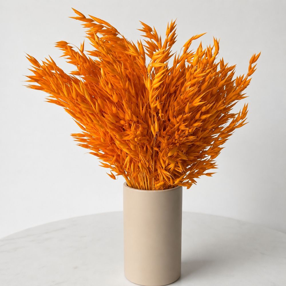 TEMU Avoines séchées pour décoration, séchés pour vases, décor bohème, rustique et scandinave, ornement pour , et à manger, bouquets de mariage,