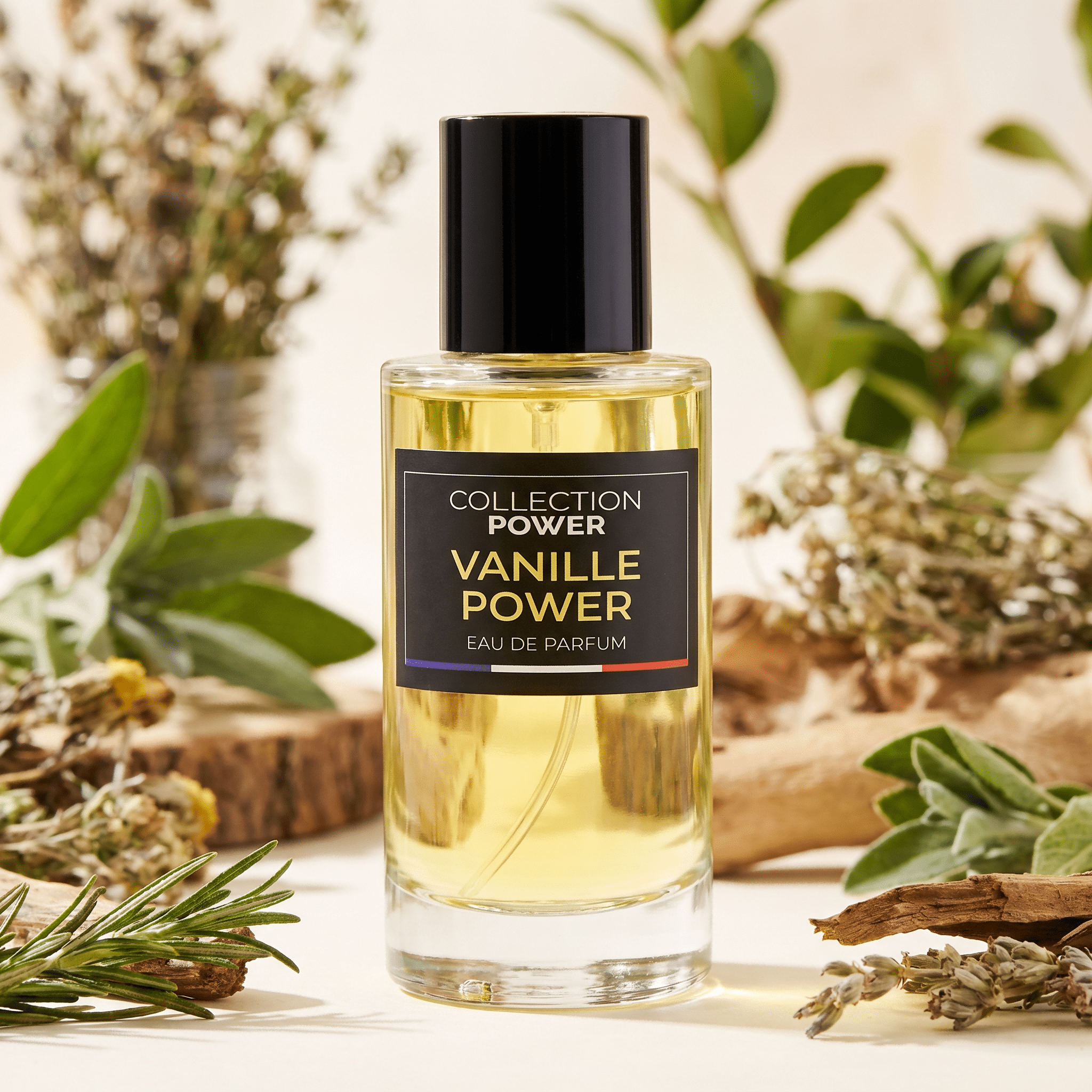TEMU COLLECTION POWER VANILLE POWER Eau de Parfum 50 ml