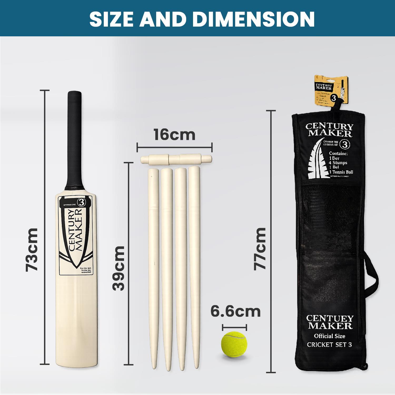 Size 3 Cricket Set with Bat, Ball, Stumps & Carry Bag