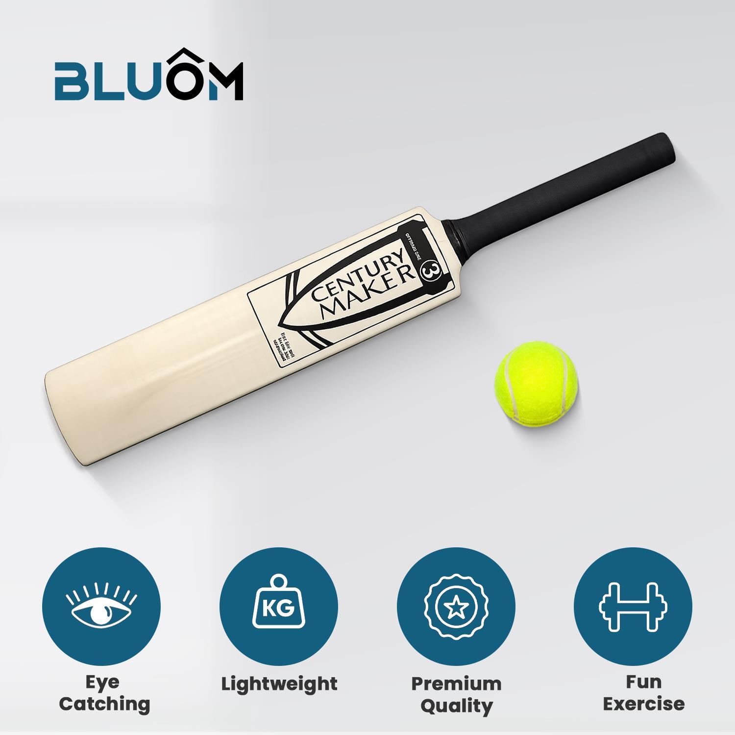 Size 3 Cricket Set with Bat, Ball, Stumps & Carry Bag