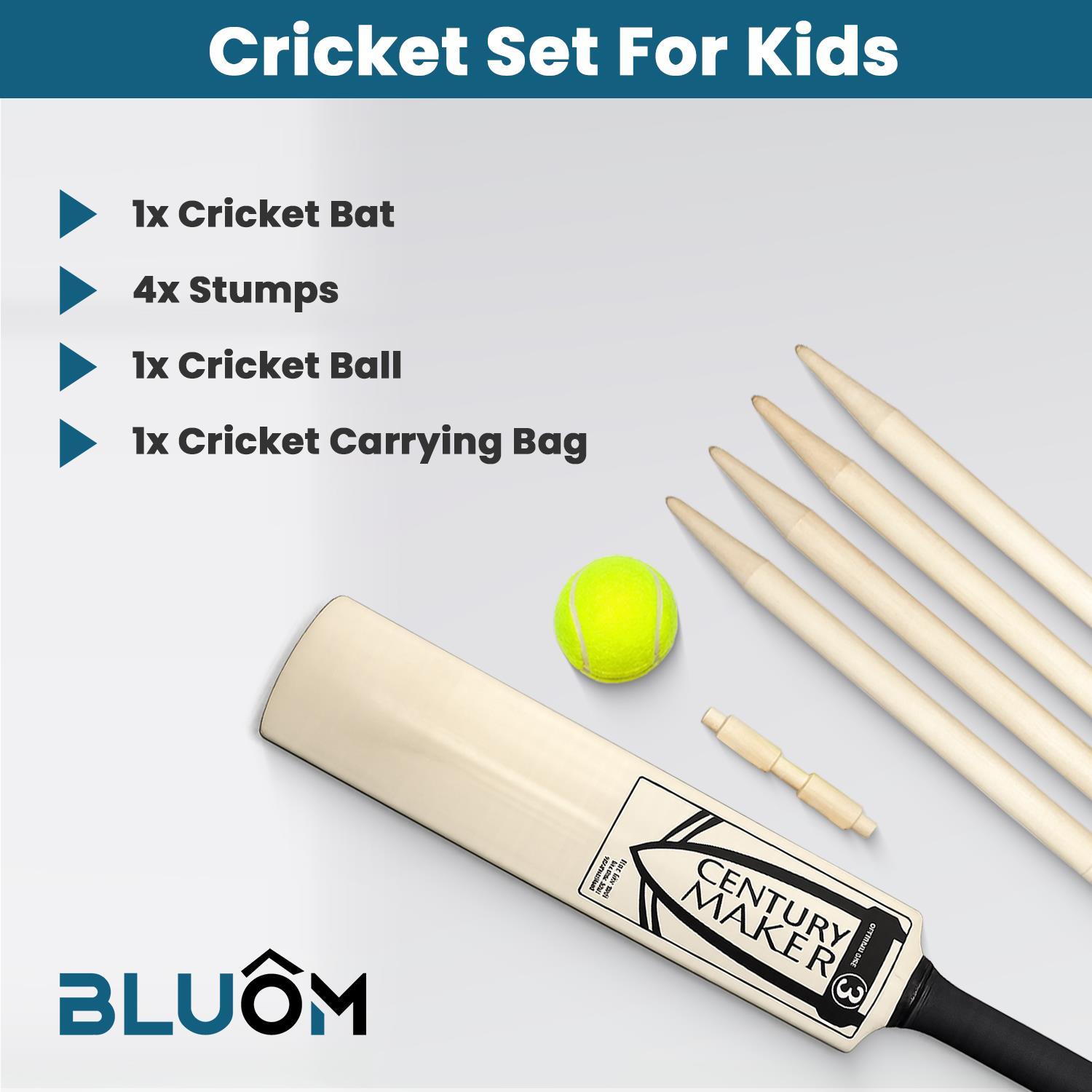 Size 3 Cricket Set with Bat, Ball, Stumps & Carry Bag