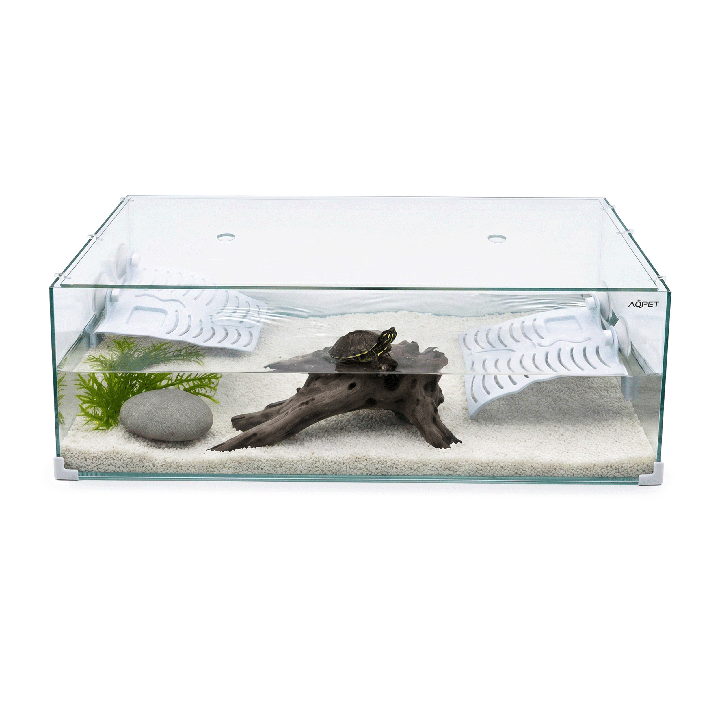 Turtle Aquarium In Glass With Lid And Island – Aquarium For Water Turtles