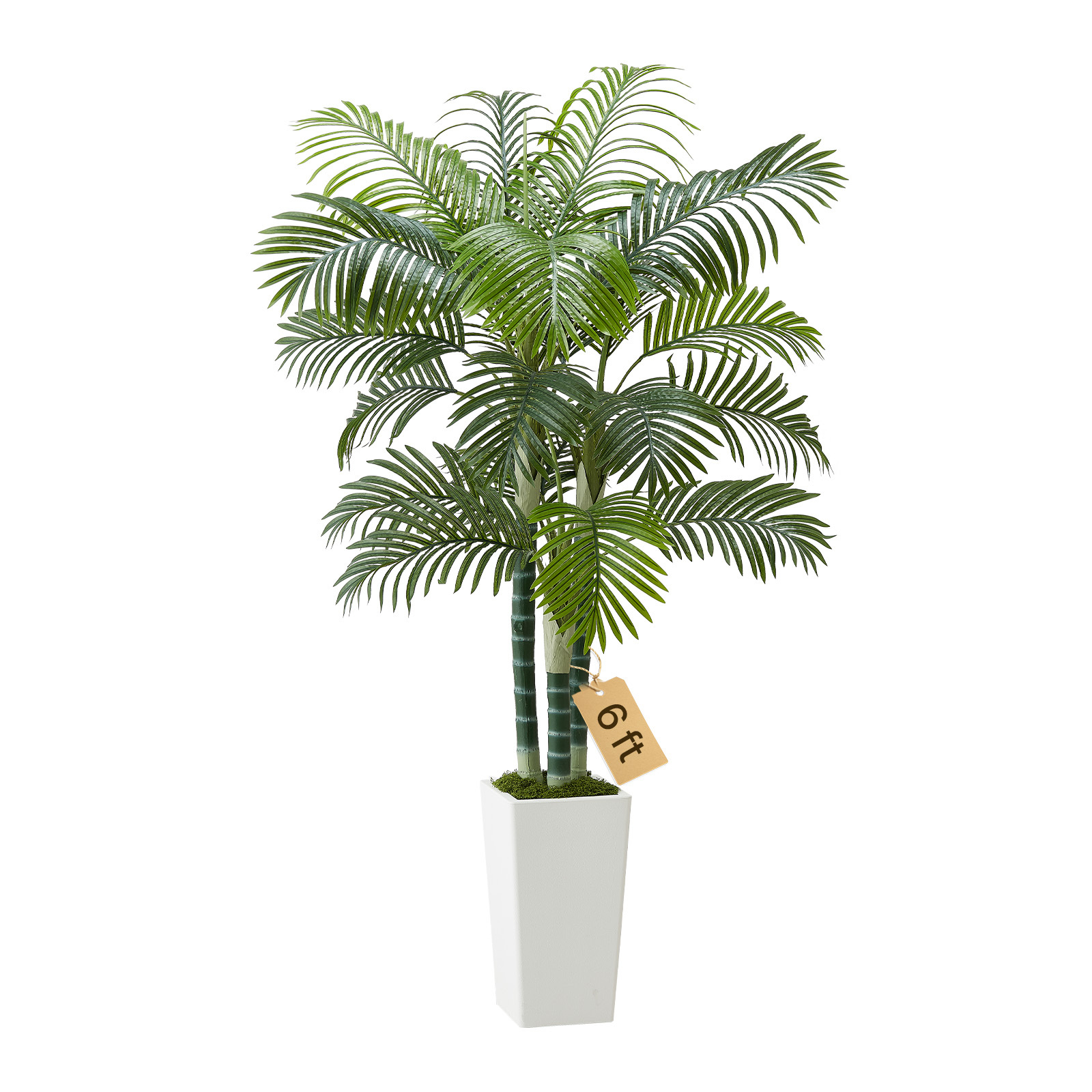 Image of Vevor Artificial Palm Tree 1829 Mm, Fake Palm Tropical Plants With White Tall Planter, Faux Floor Silk Plant In Pot, Large Trees For Home Office Living Room Decor House Warming, Indoor Outdoor