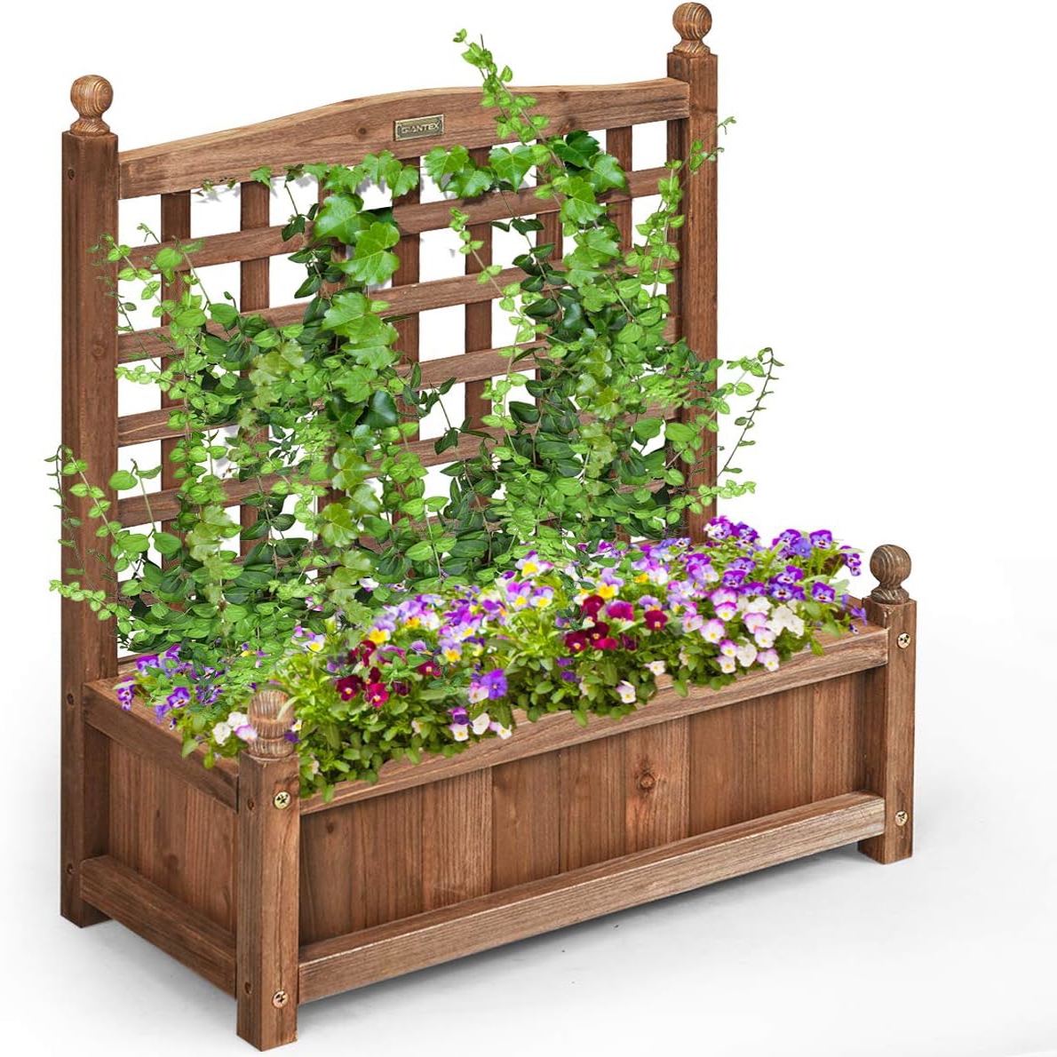 Image of Raised Garden Bed With Trellis, Flower Pot, Planter, Wooden Planter, Growing Bed For Vegetables And Flowers, For Garden, Terrace, Balcony
