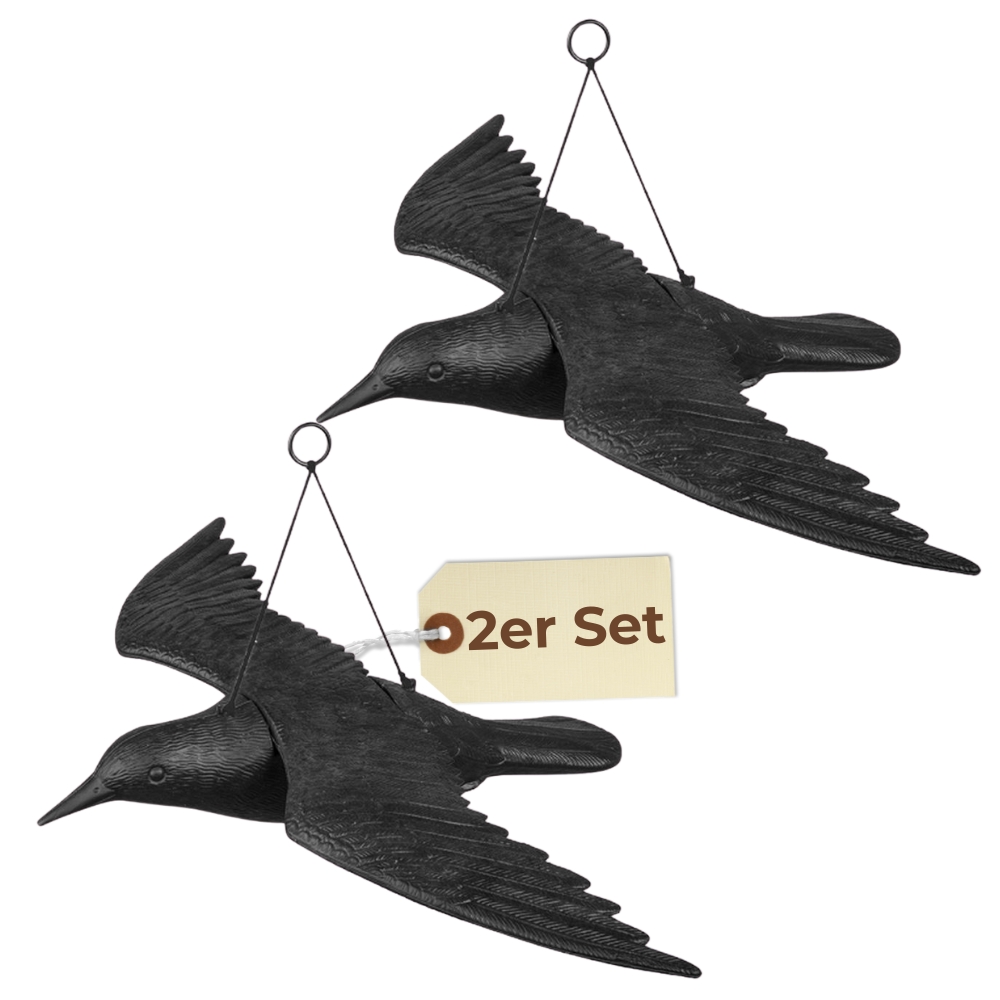 Image of Flying Bird Scare