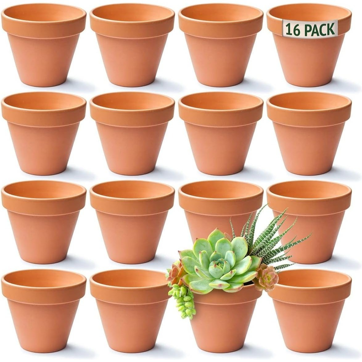 16 Pack Mini Terracotta Plant Pots for Multi-Purpose Use