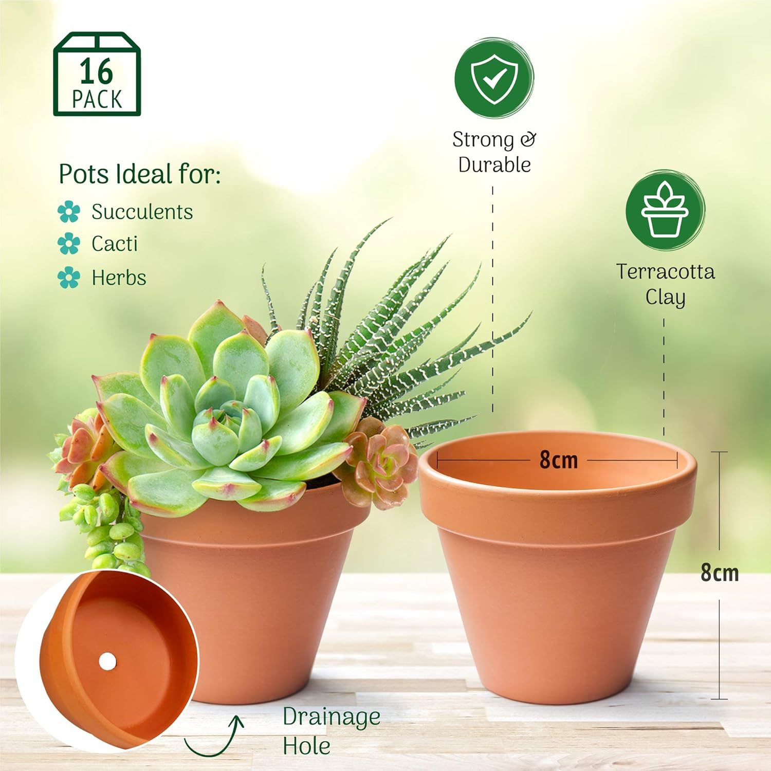 16 Pack Mini Terracotta Plant Pots for Multi-Purpose Use