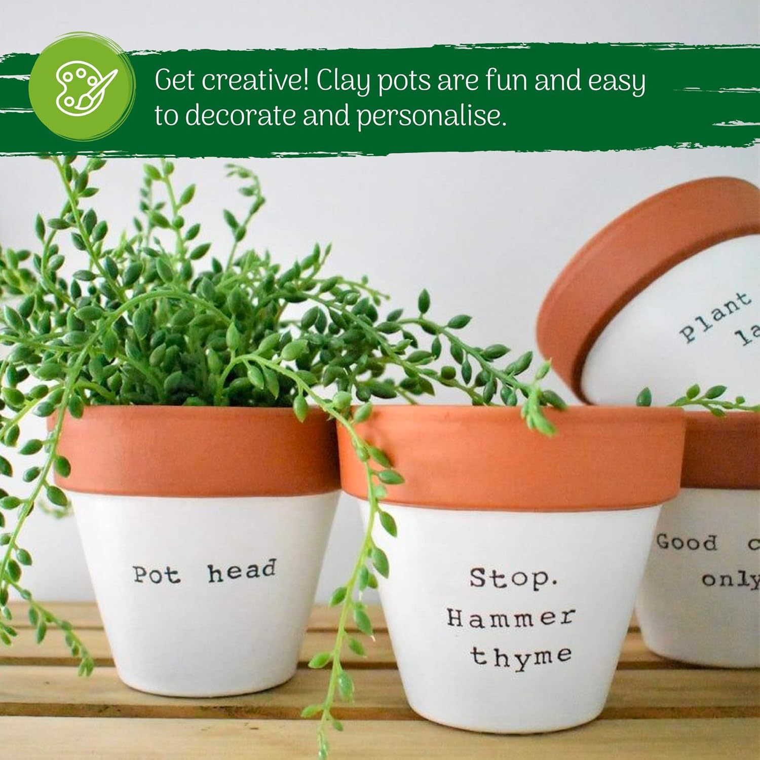 16 Pack Mini Terracotta Plant Pots for Multi-Purpose Use
