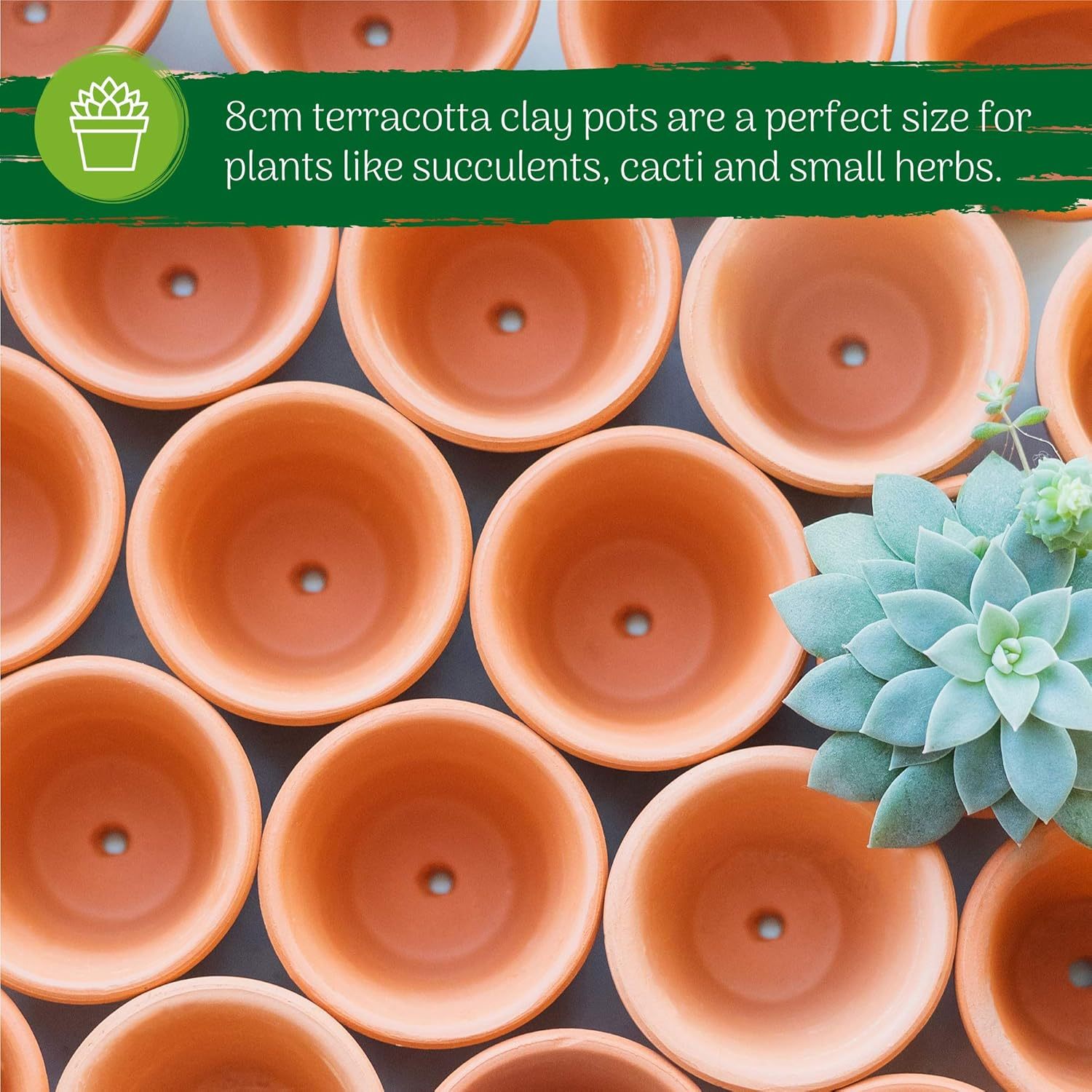 16 Pack Mini Terracotta Plant Pots for Multi-Purpose Use
