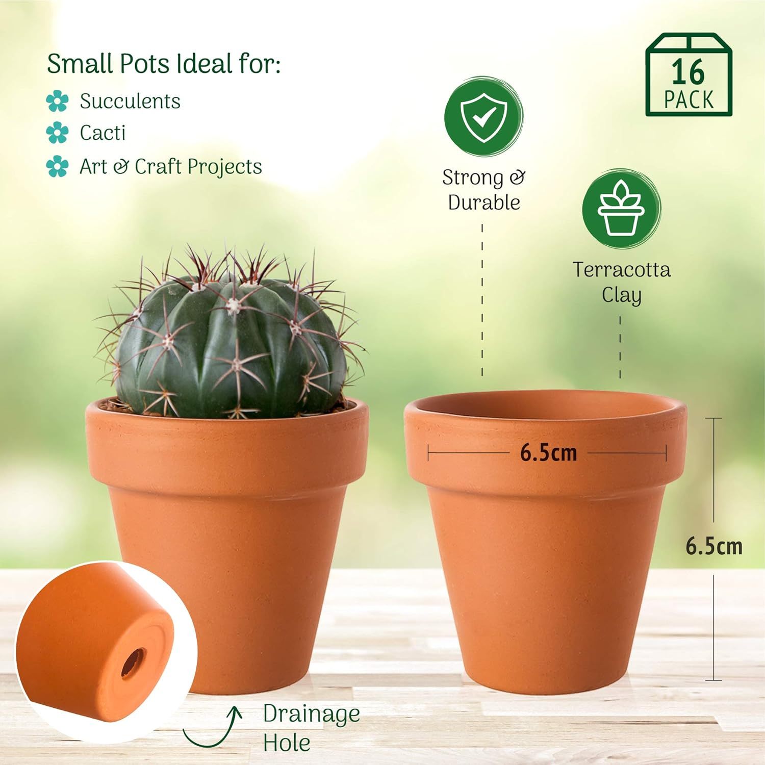 16 Pack Mini Terracotta Plant Pots for Multi-Purpose Use