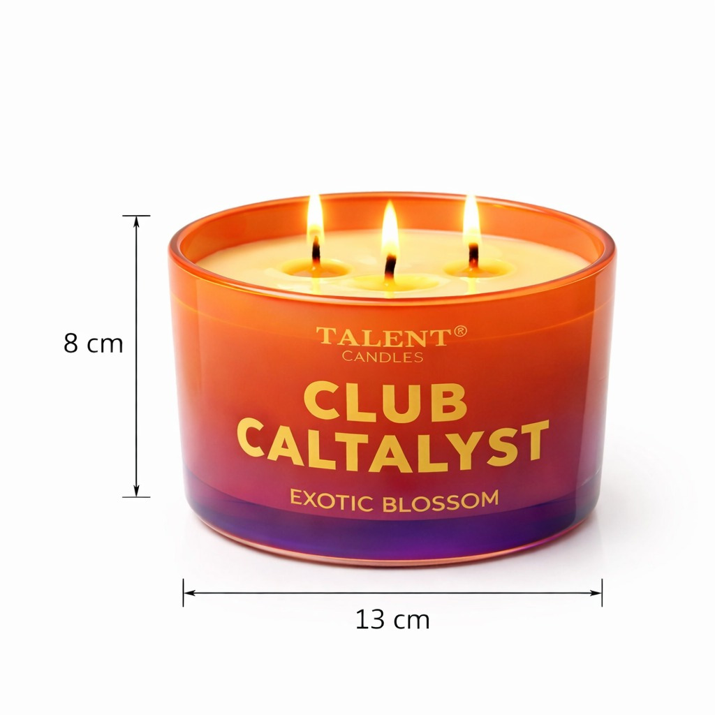 Image of Large 3-wick Scented Candle, Ø 13 Cm, For Home, Soy Wax With Cotton Wick In Glass, Long-lasting Fragrance, Gift For Birthdays, Christmas, Valentine's Day - For , Warm Candlelight