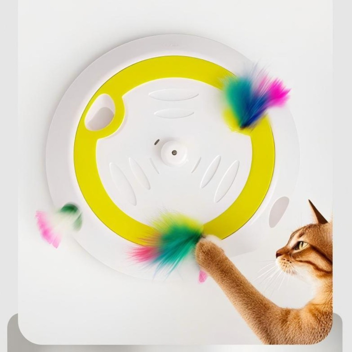 E-shop Automatisches Aktivitätsspielzeug für Katzen - Interaktives Bewegungsgerät zur Beschäftigung-Partyartikel