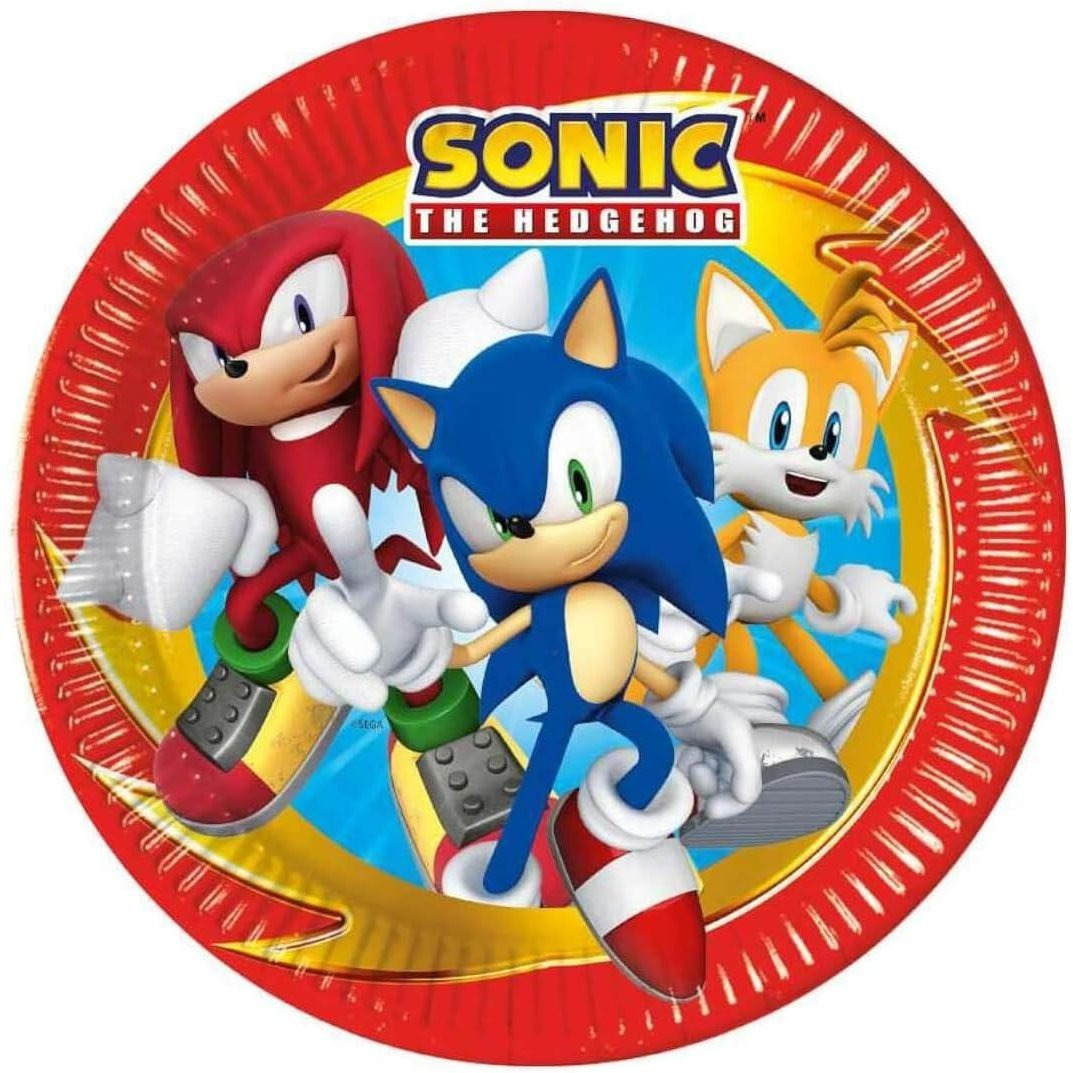 TEMU The Hedgehog Party Plates – Pack Of 8 | 23cm Disposable Paper Plates | Kids Birthday Party Tableware