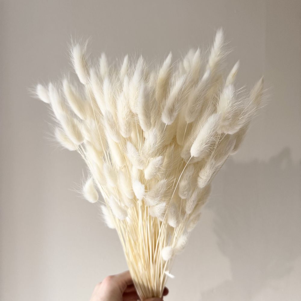 TEMU Dried Egg-shaped Lagurus, Approximately 150 Pieces, For Bouquets, Wedding Decorations, And Boho Arrangements, Durable Decorative Flowers, Floral