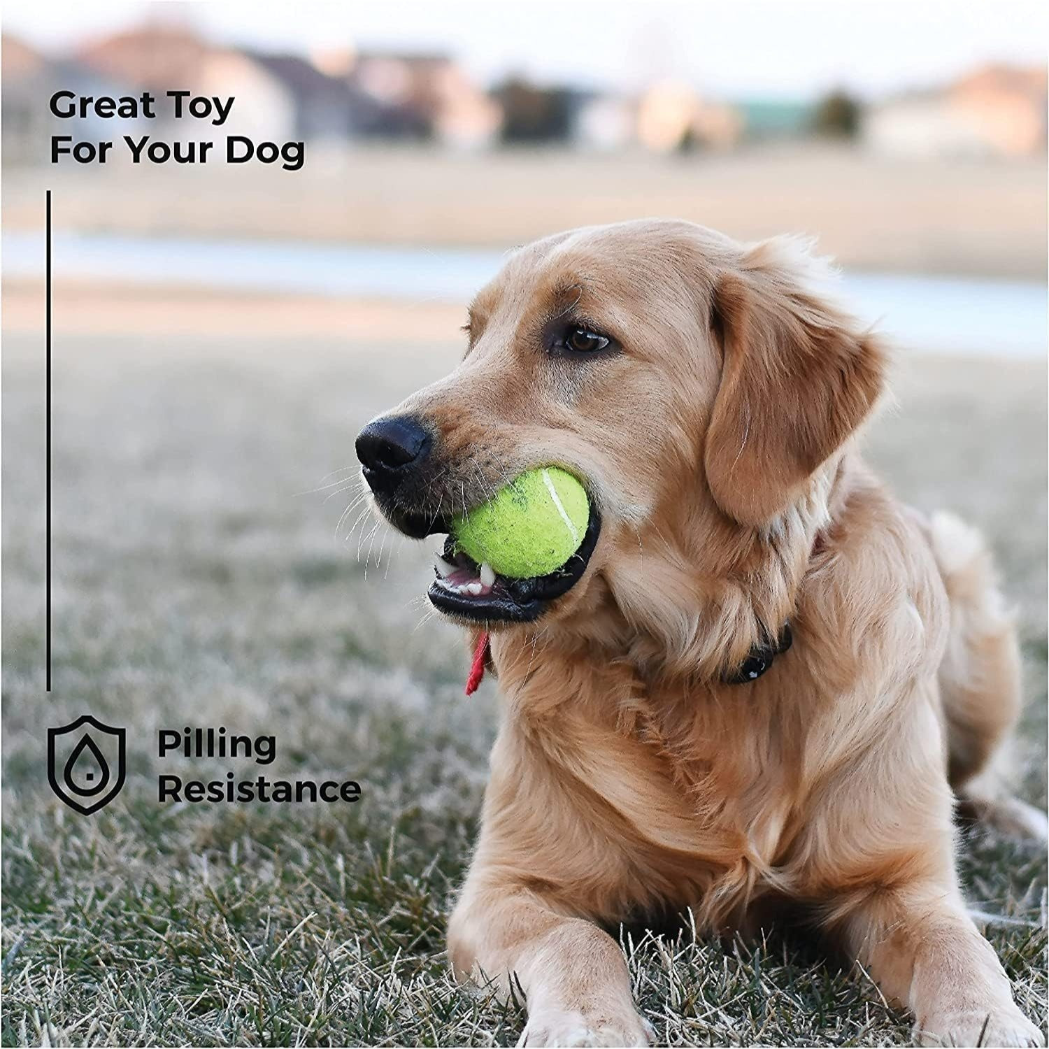 12 Tennis Balls with Storage Bag, Thick-Walled