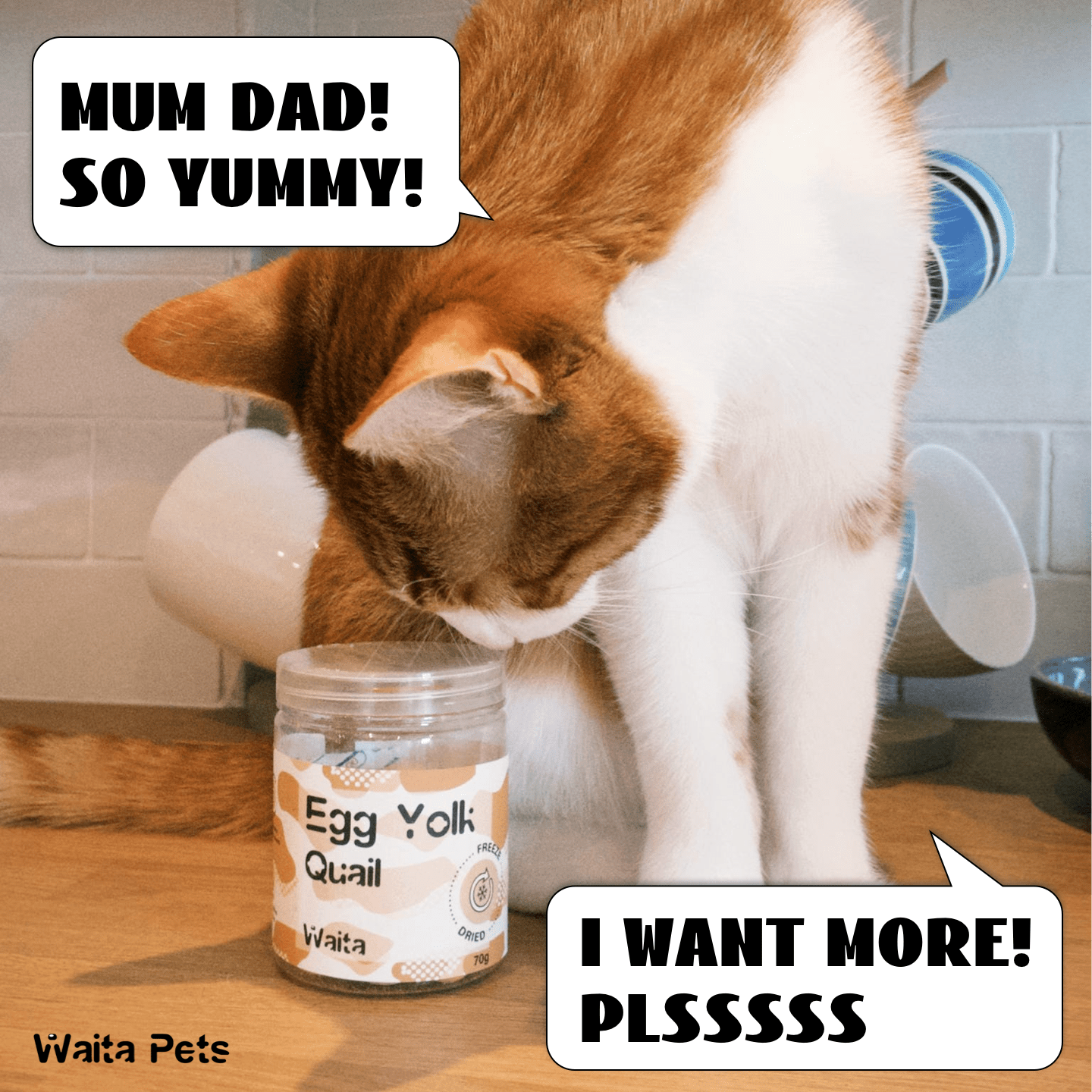Freeze Dried Beef Liver Powder for Cats & Dogs, 90g
