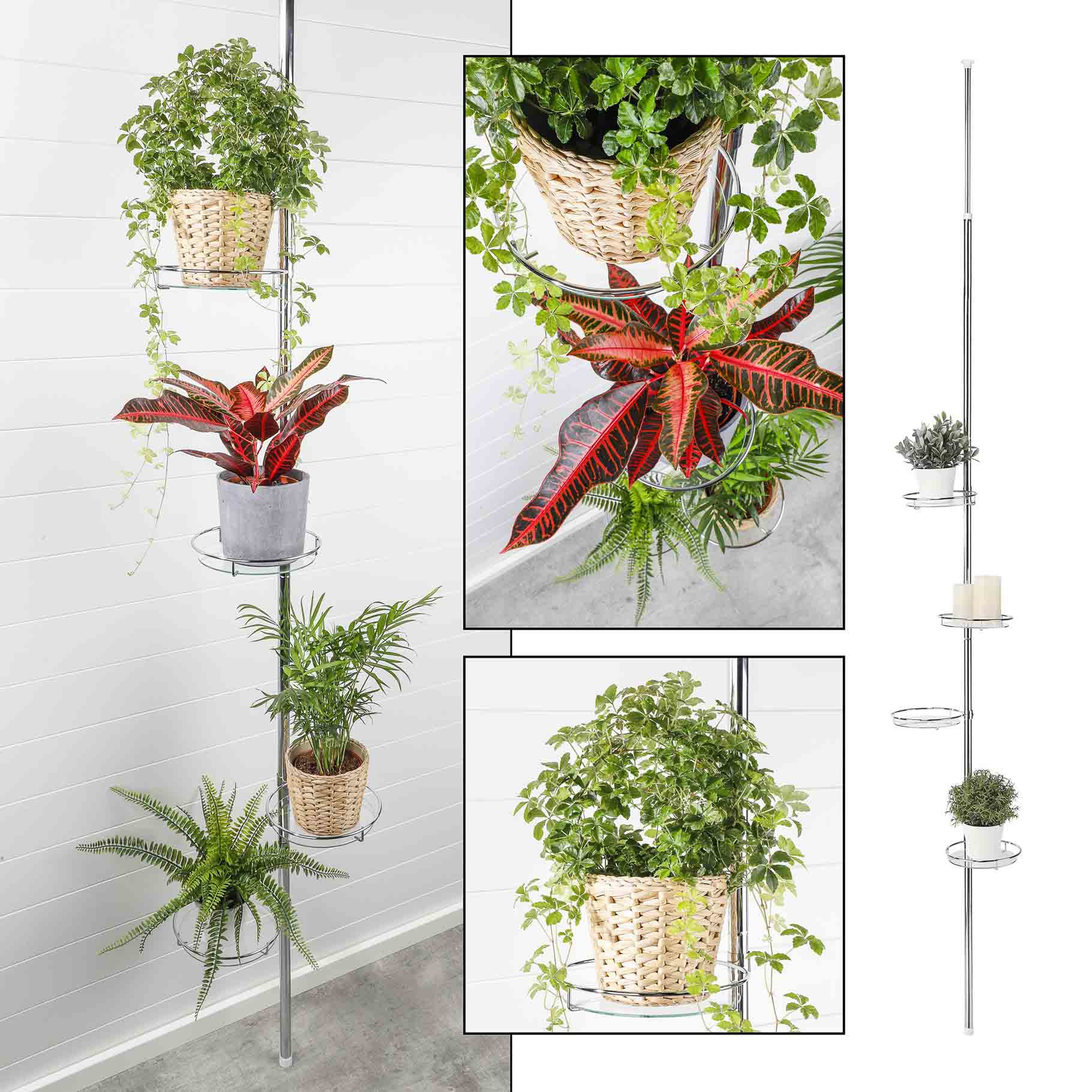 TEMU Teleskop-Blumenregal 4 runde Abstellflächen aus Glas | vier Ebenen | einstellbare Höhe: 175 - 275 cm | Blumen-Regal Blumentreppe Blumenständer