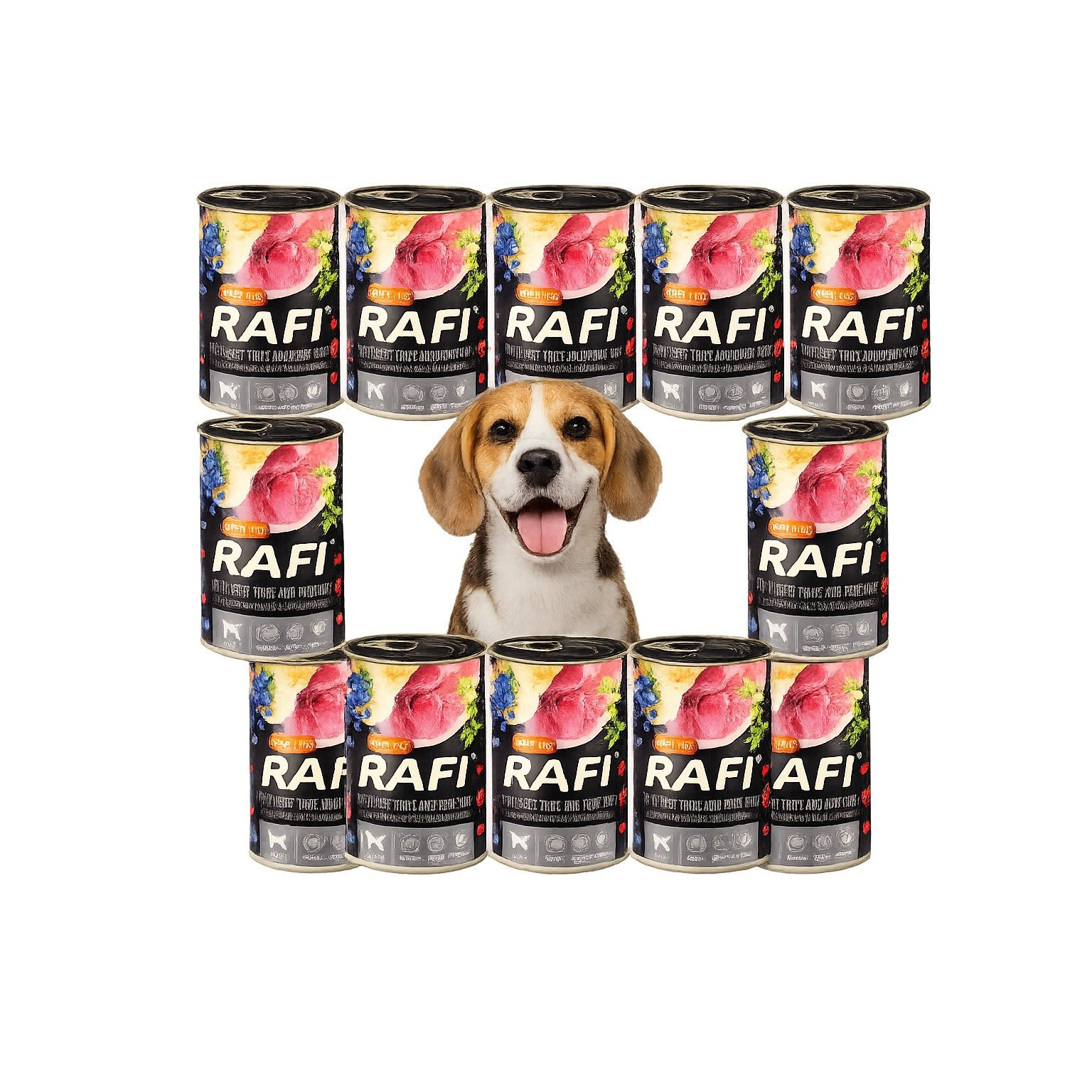 Food Noteci Rafi Adult Grain- 12x400g