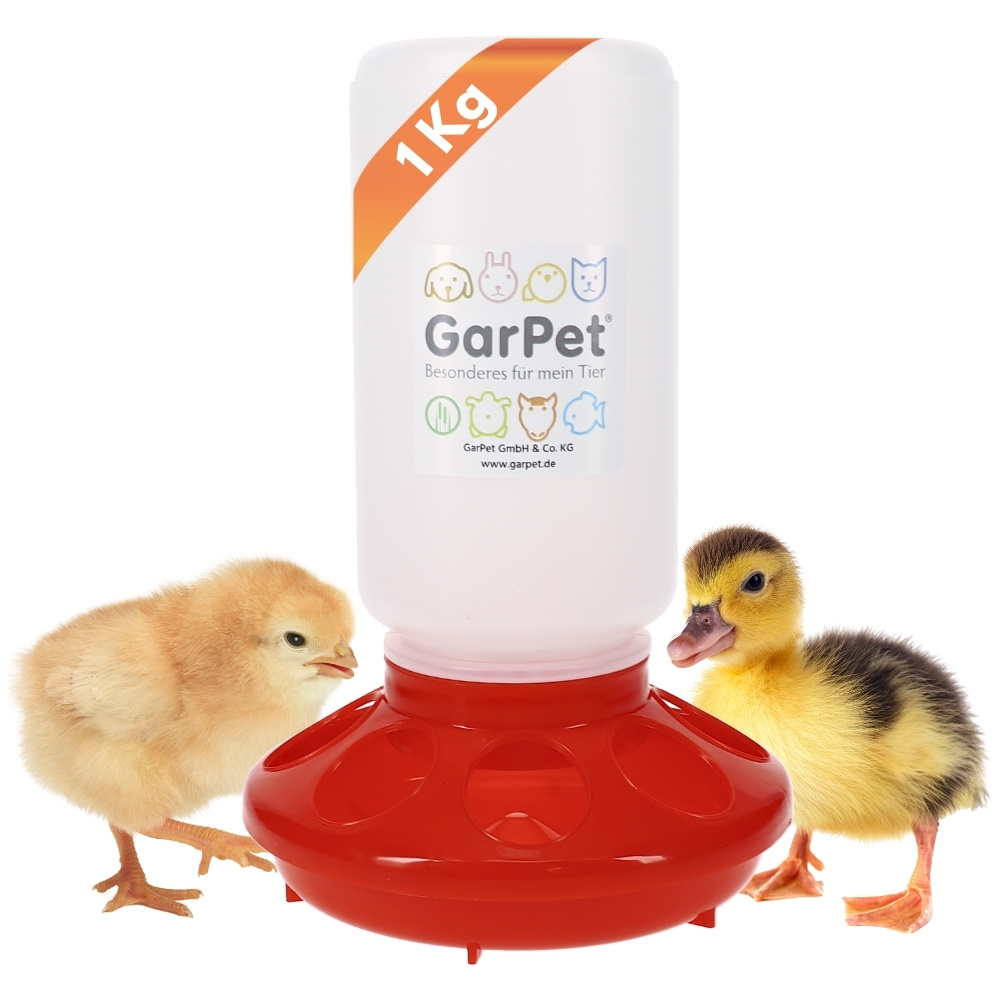 Automatic Chicken Feeder, Chick Feeder, Quail Feeder, Pigeon Feeder, Chicken Accessories, 1 Kg Plastic Chicken Feed Container, Chicken Coop Accessories