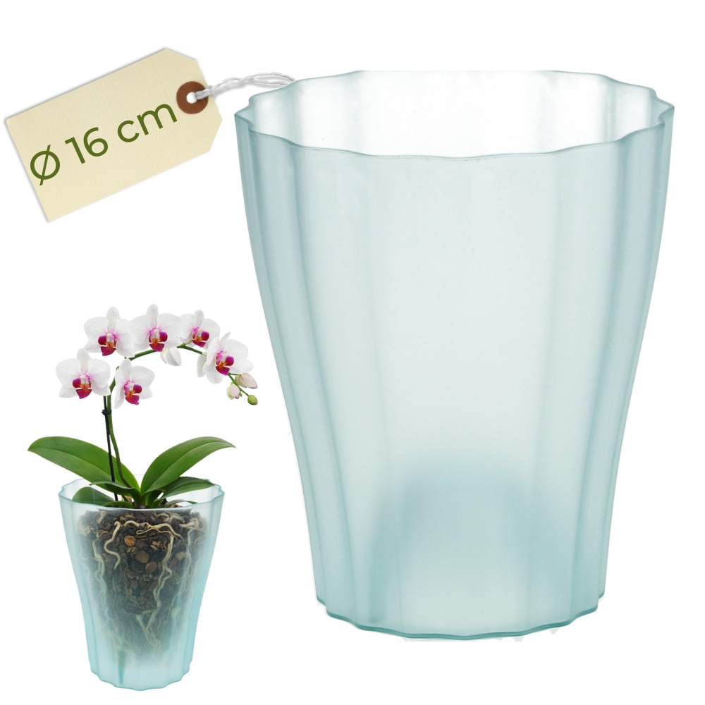 Image of Orchid Pot Transparent Orchid Overpot Orchid Pot Plastic With Elevated Bottom Flower Pot Inside With Stepped Bottom Transparent Plant Pots Orchid Accessories