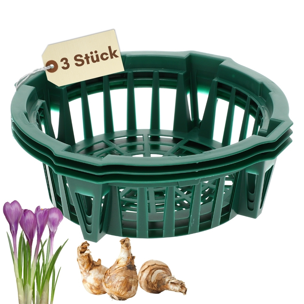 E-shop Pflanzkörbe für Blumenzwiebeln Pflanzkorb Blumenzwiebeln Pflanzkörbe für Tulpenzwiebeln Pflanzschalen Blumenzwiebel Anzuchtskorb Tulpen
