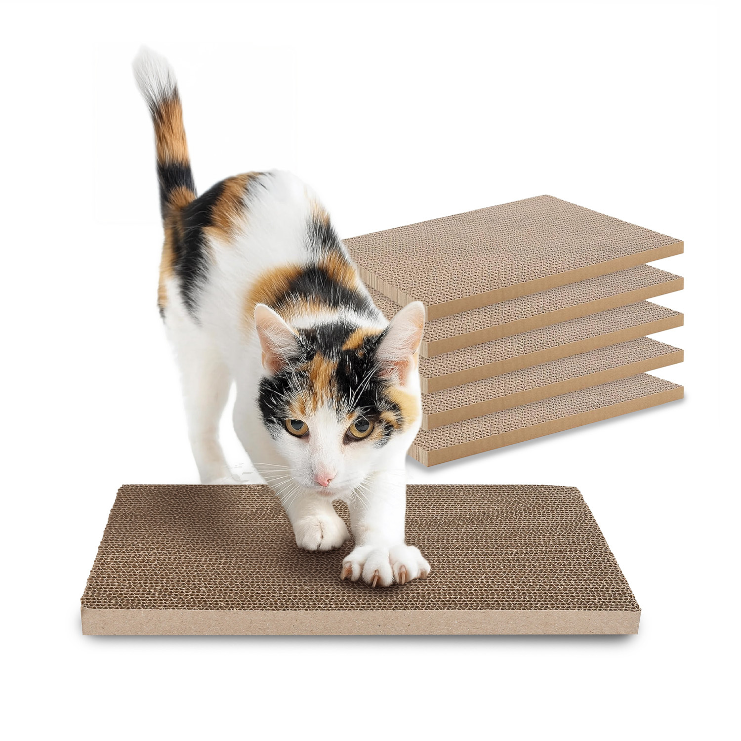 TEMU Set Of 5 Double-sided Corrugated Cardboard Cat Scratchers