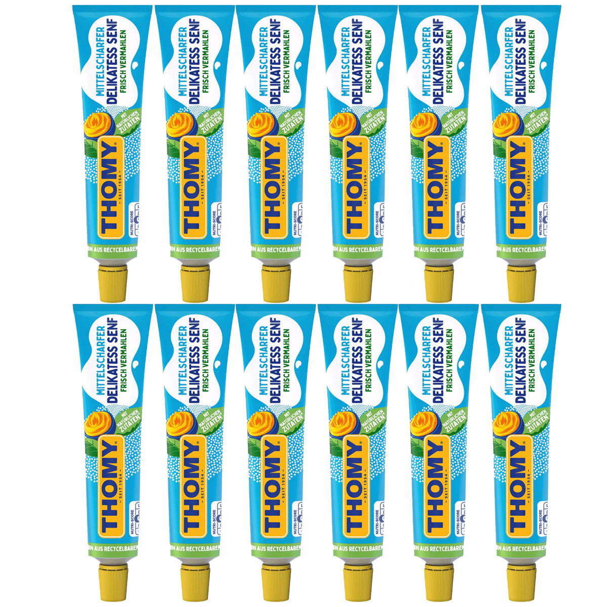 Thomy Delicacy Mustard Medium Hot Spicy Seasoned Tube 200ml 12-pack