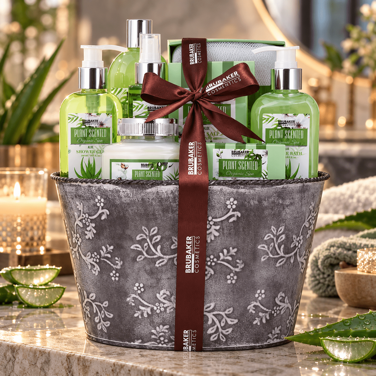 Image of Brubaker Cosmetics Aloe Set - Shower And Bath Set For Women - 9-piece Wellness Gift Set In Vintage Plant Pot