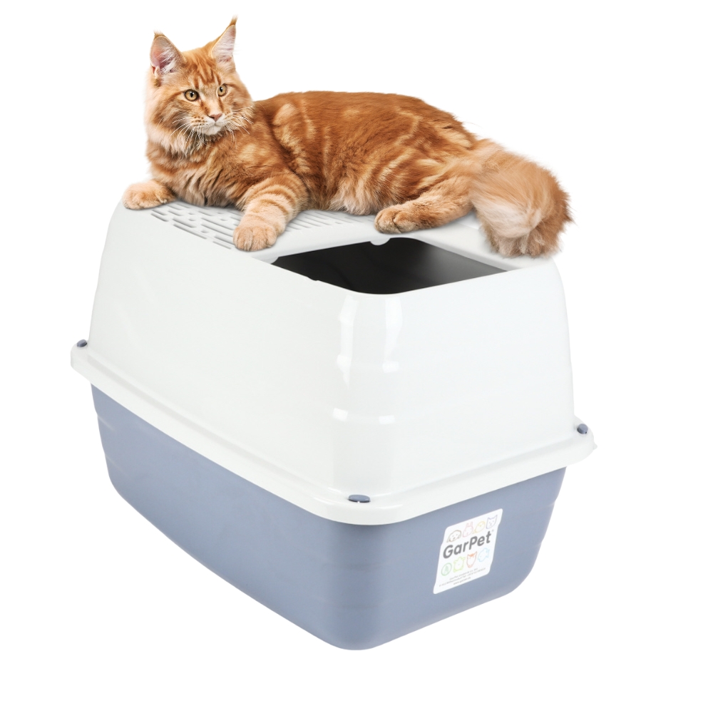 Cat Toilet