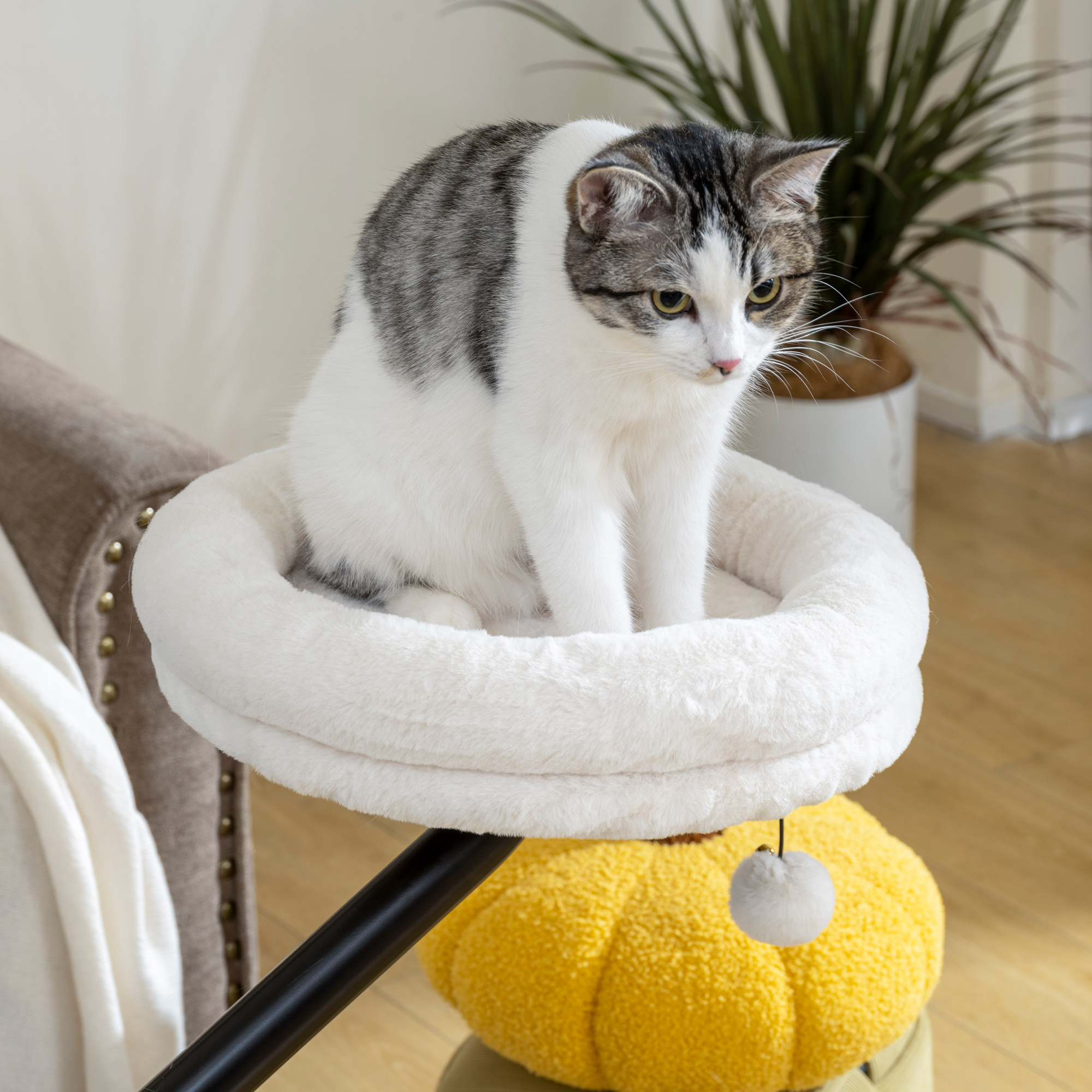 Cat Bed for Desk, 360° Rotatable Adjustable Elevated Hammock
