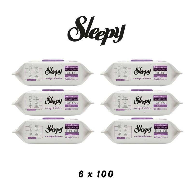 Easy Clean Wet Wipes, 6 × 100, Lilac