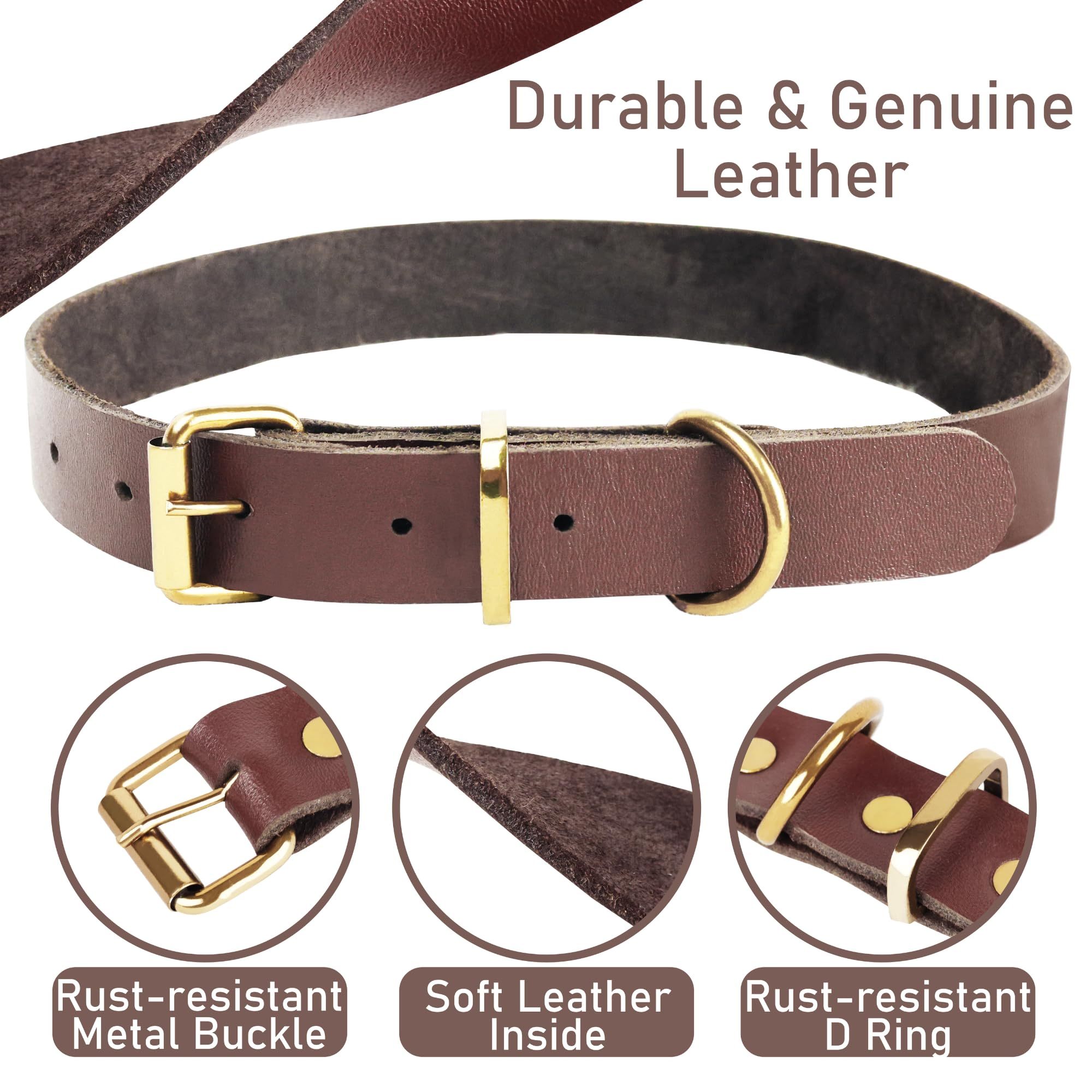 Premium Leather Dog Leash and Collar Set, Soft Design