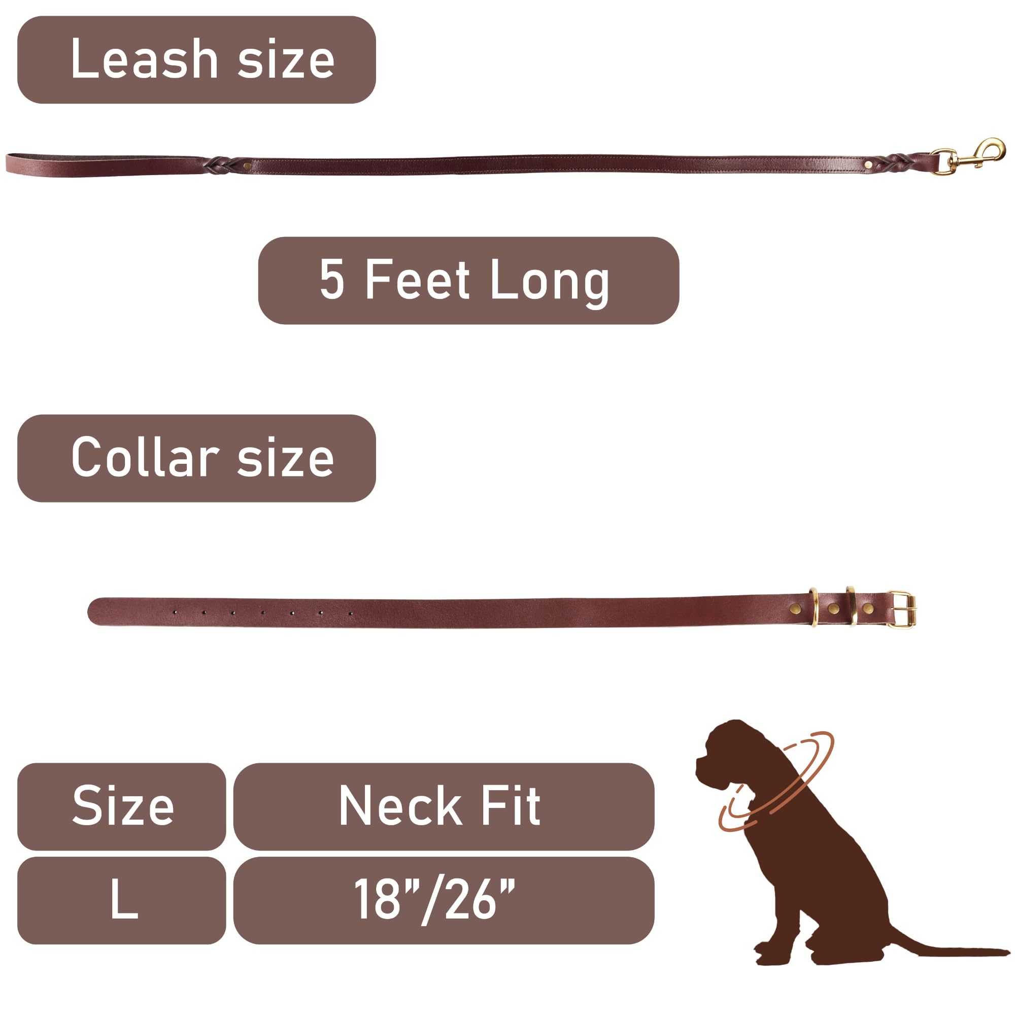 Premium Leather Dog Leash and Collar Set, Soft Design