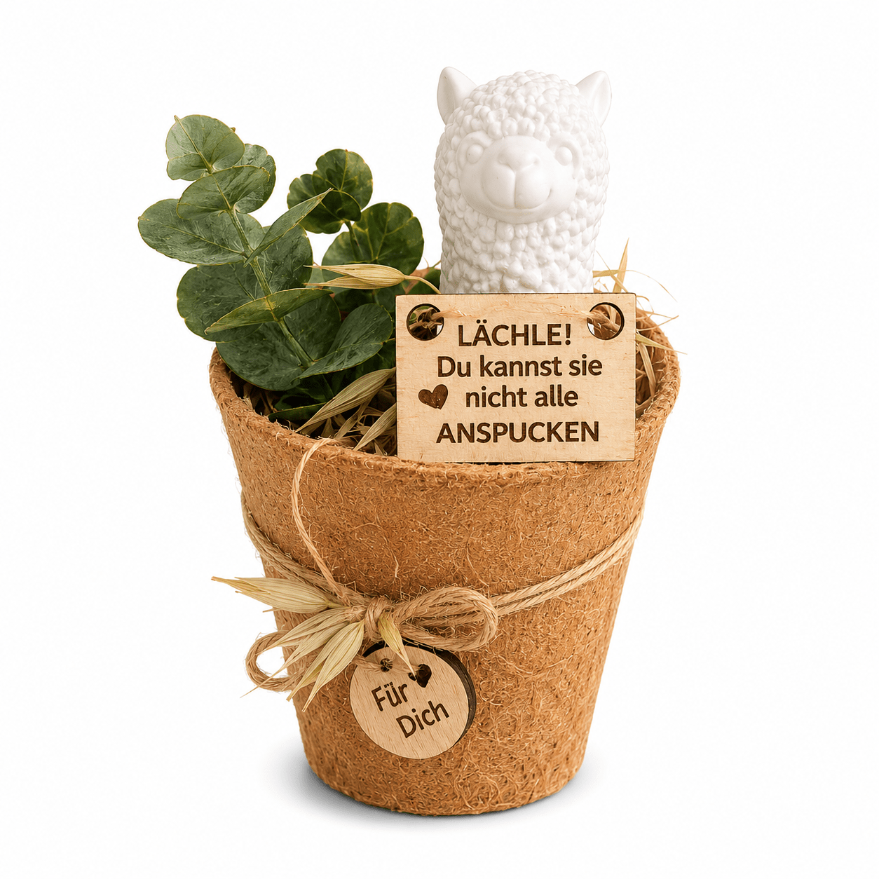 Alpaca Gift Set With Quote "smile! You Spit On Them All" | Handmade Decor | Funny Gift Idea | Birthday Gift Idea