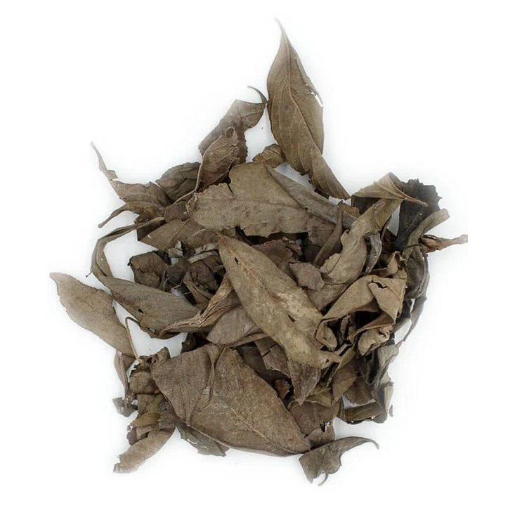 Dried Kinkeliba Leaves 50g – Combretum Micranthum – Authentic African Herbal Tea From Senegal, Mali, Guinea, Ivory Coast – Traditional West African Infusion – Also Known As Quinqueliba, Sekhaw