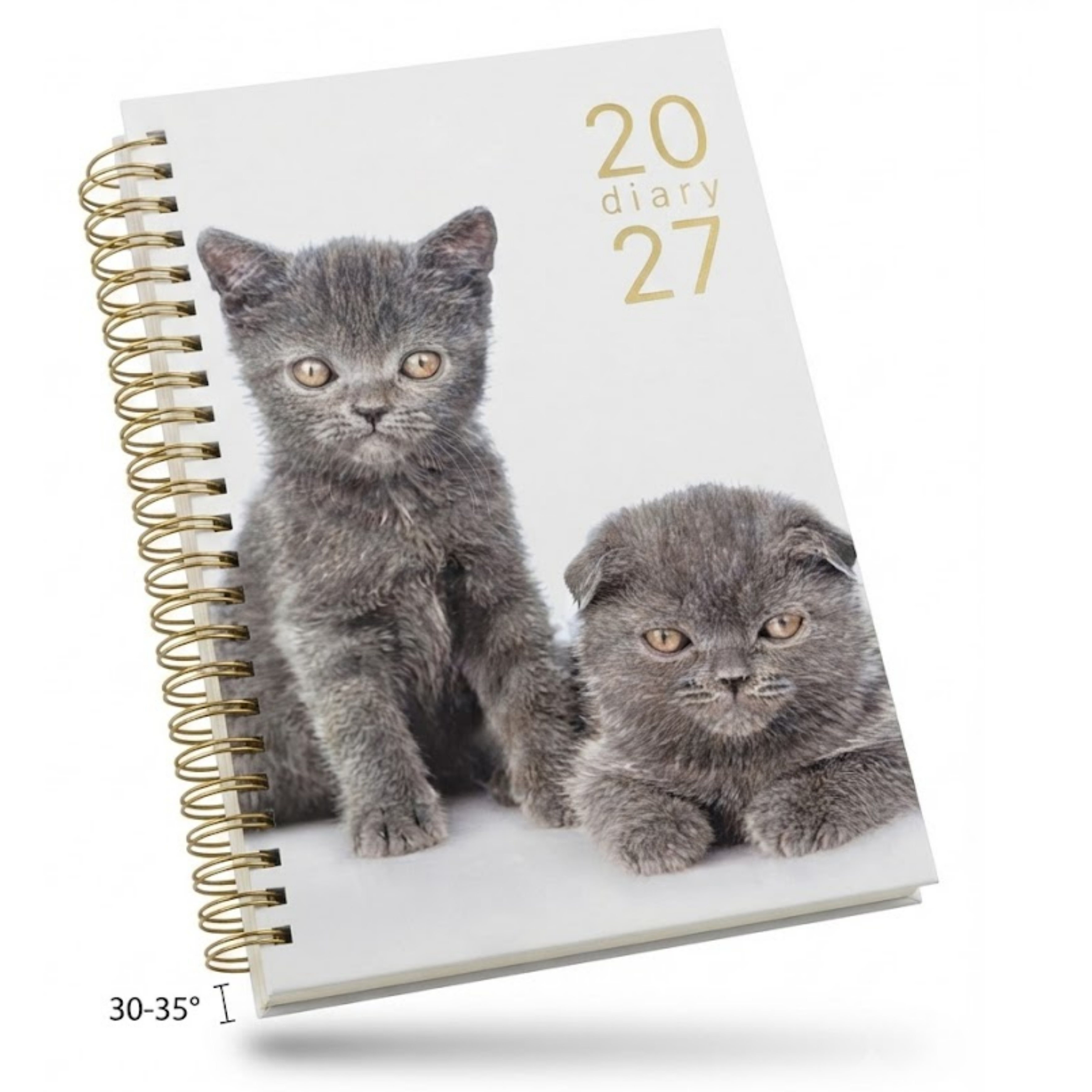 TEMU 2027 Luxury Diary – Cute Black Cats Theme A5 Week To View Planner - Office School Work Diary ( X 15cm) - Premium Pages With Notes, Ribbon, Have