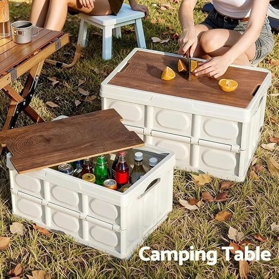 Collapsible Lidded Plastic Storage Boxes, Stackable