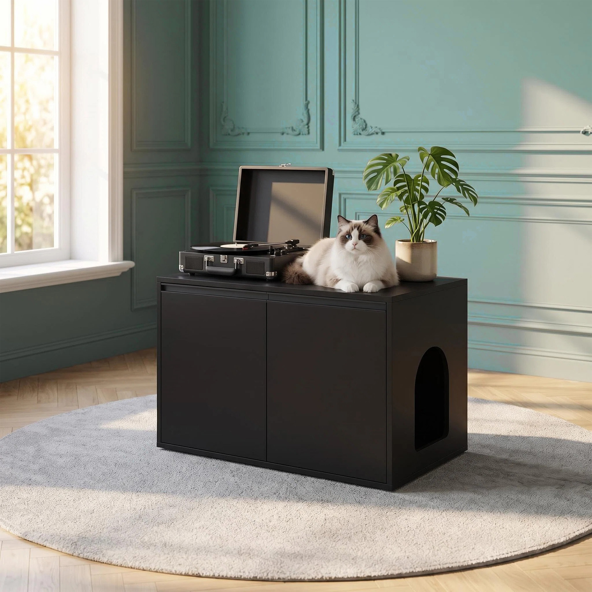 Image of Modern Black Enclosed Litter Box With Adjustable Internal Partitions, Interchangeable Side Entrance Panels, Non-slip Cushioned Feet, And An Arched Doorway For Quick Assembly.