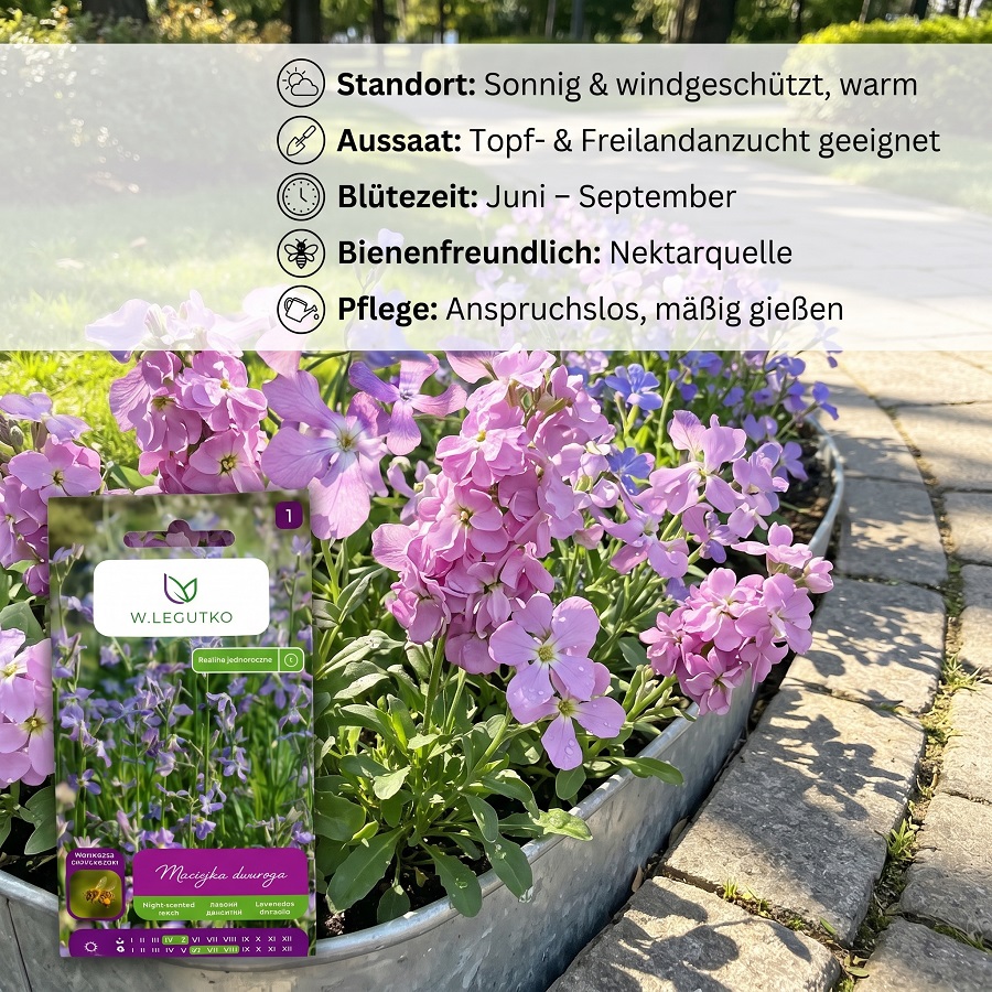 W.legutko Night-fragrant For Windowsill, Summer Balcony, And Pot, Annual Ornamental Flower Seeds
