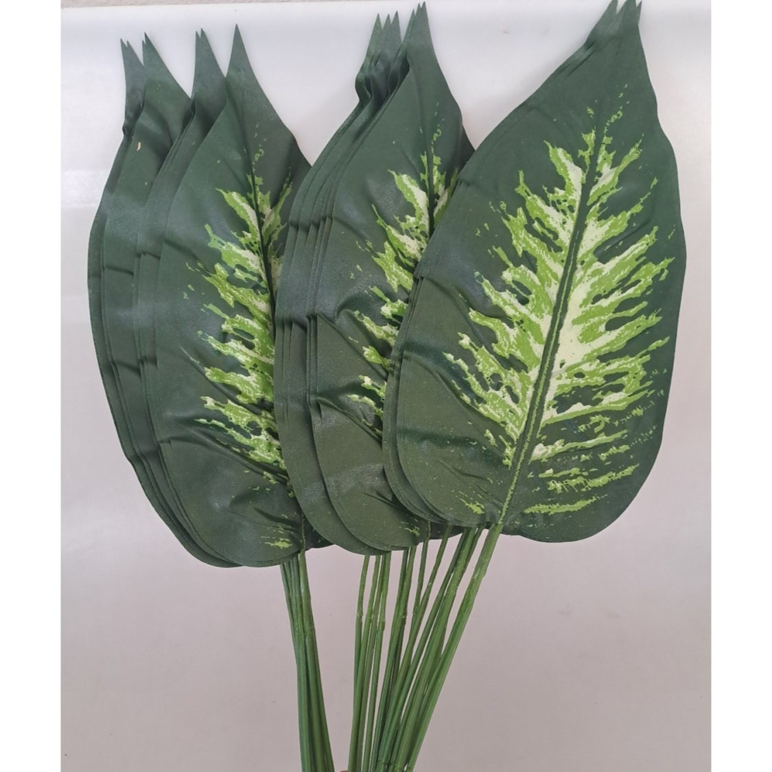 Image of 24 Dieffenbachia Leaves With Stems (artificial)