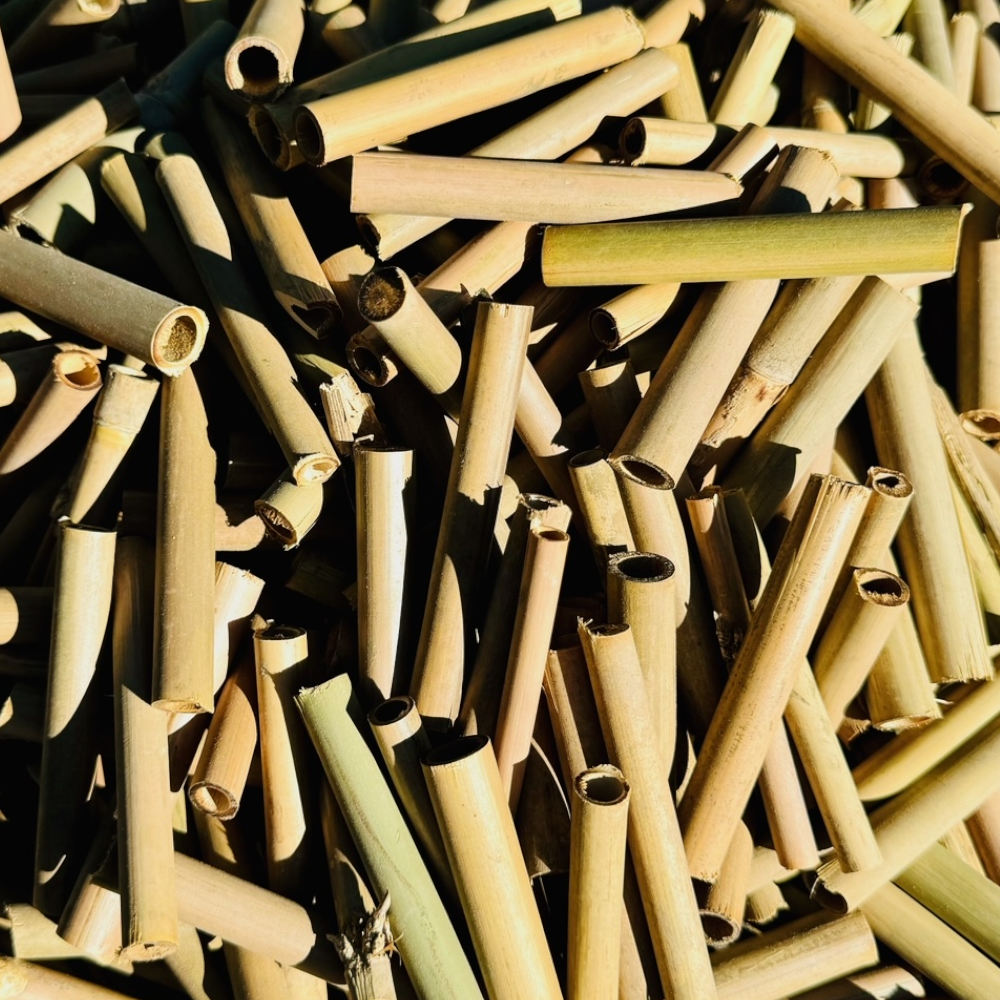 Image of 1000 X Bamboo Tubes I Nesting Aid For Wild Bees I Insect Hotel Filling Material Mm