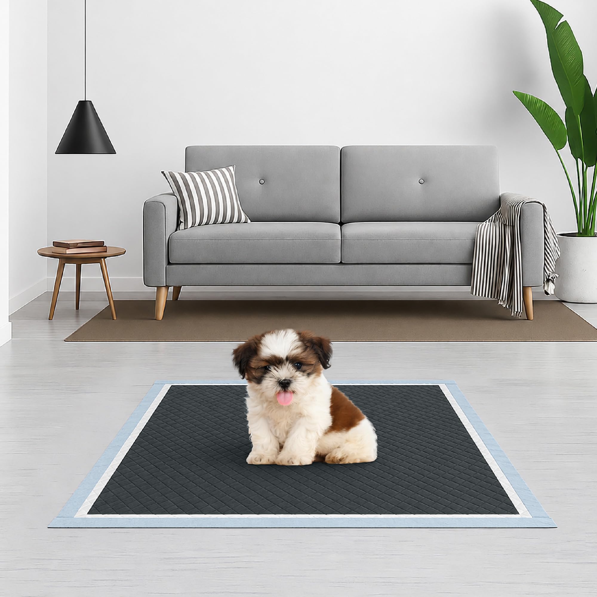 TEMU Ilgruppone 100-pack Absorbent Dog Pads 60x60 Cm With Activated Charcoal, Ultra-absorbent , Odor-resistant