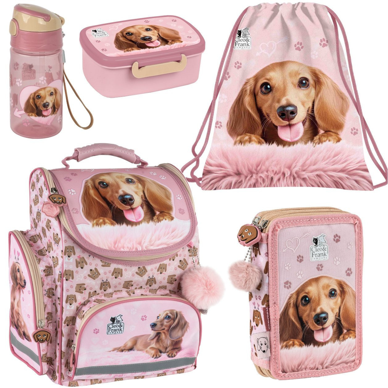 Dachshund Dog School Backpack 5-piece Set - Backpack, Pencil Case, Gym Bag, Lunch Box
