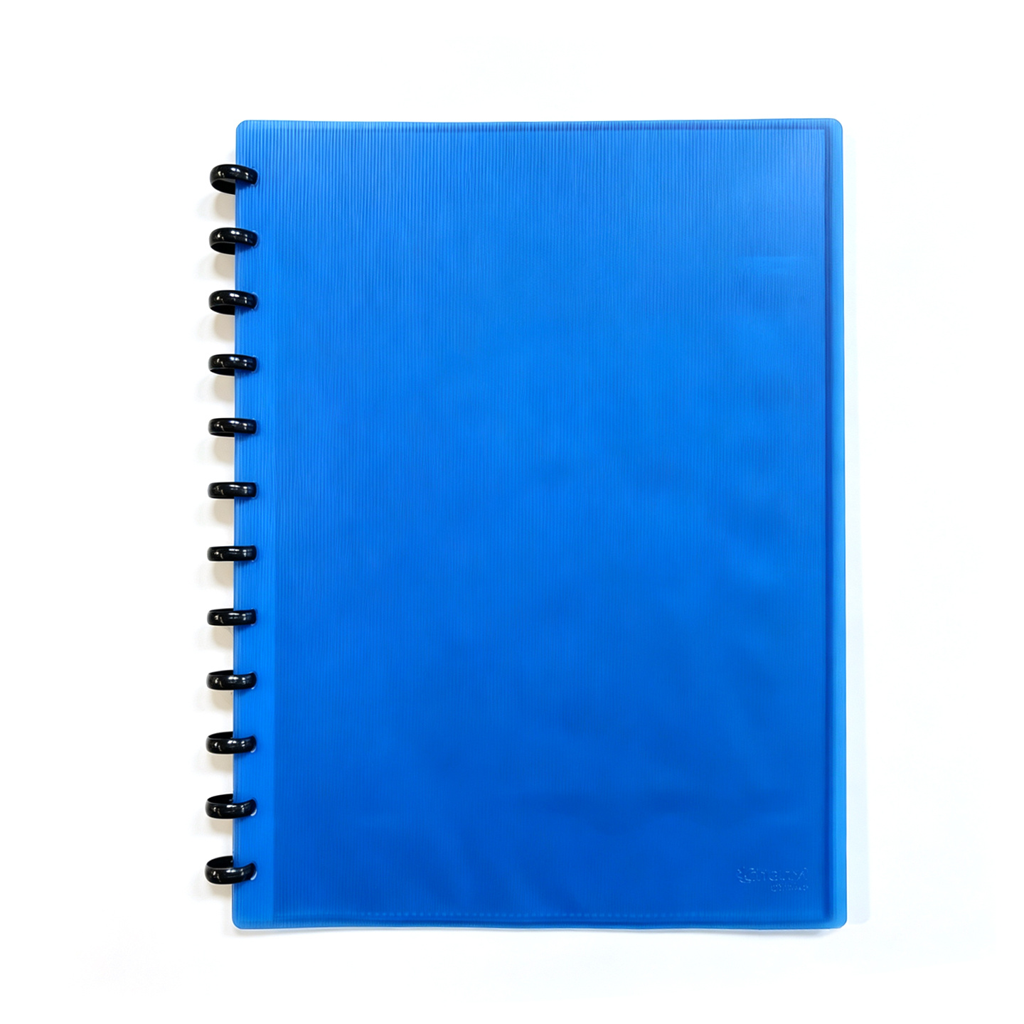 TEMU Carpeta anillada A4 20 fundas transparentes surtido pack 12 unidadesArchivador plástico 24x31cm portadocumentos oficina y estudianteLibro