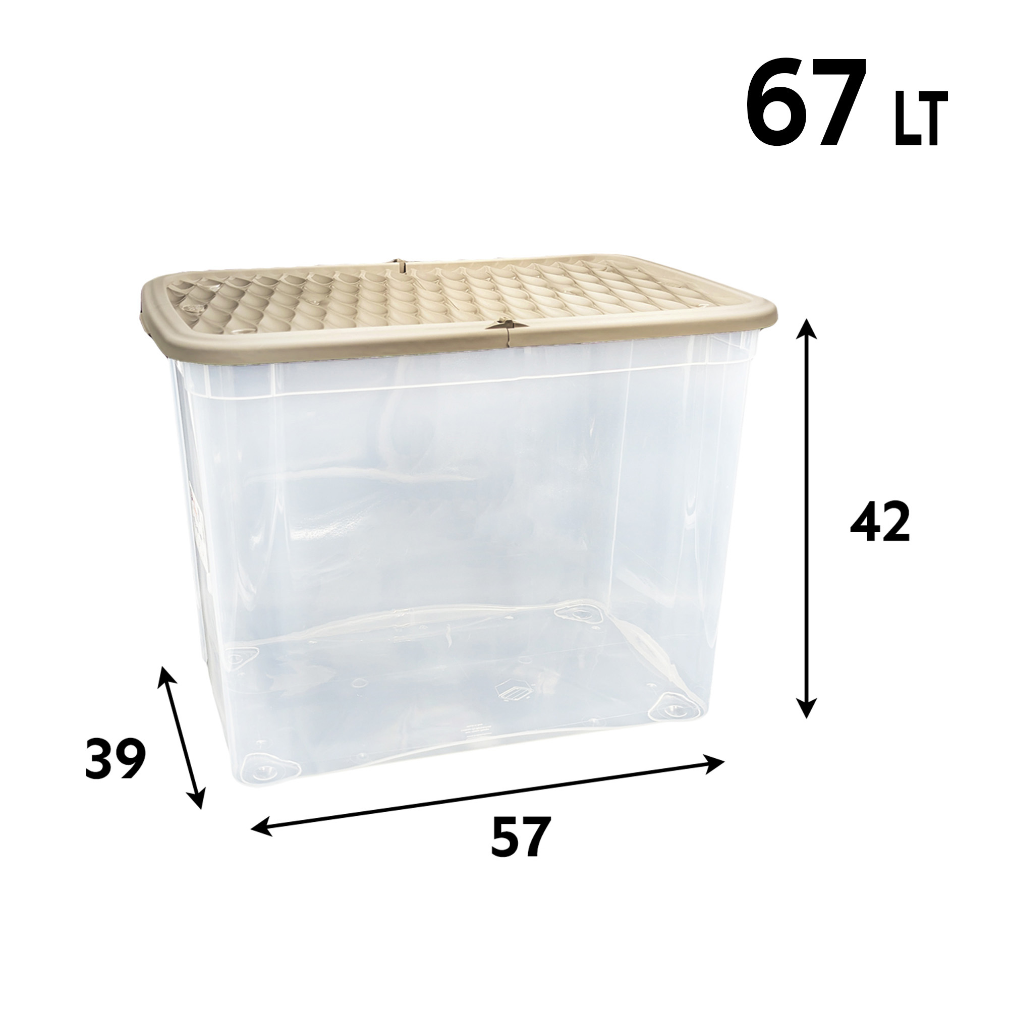 TEMU Belli & Forti Storage Box Plastic Container Seasonal Change Home Assorted Colors