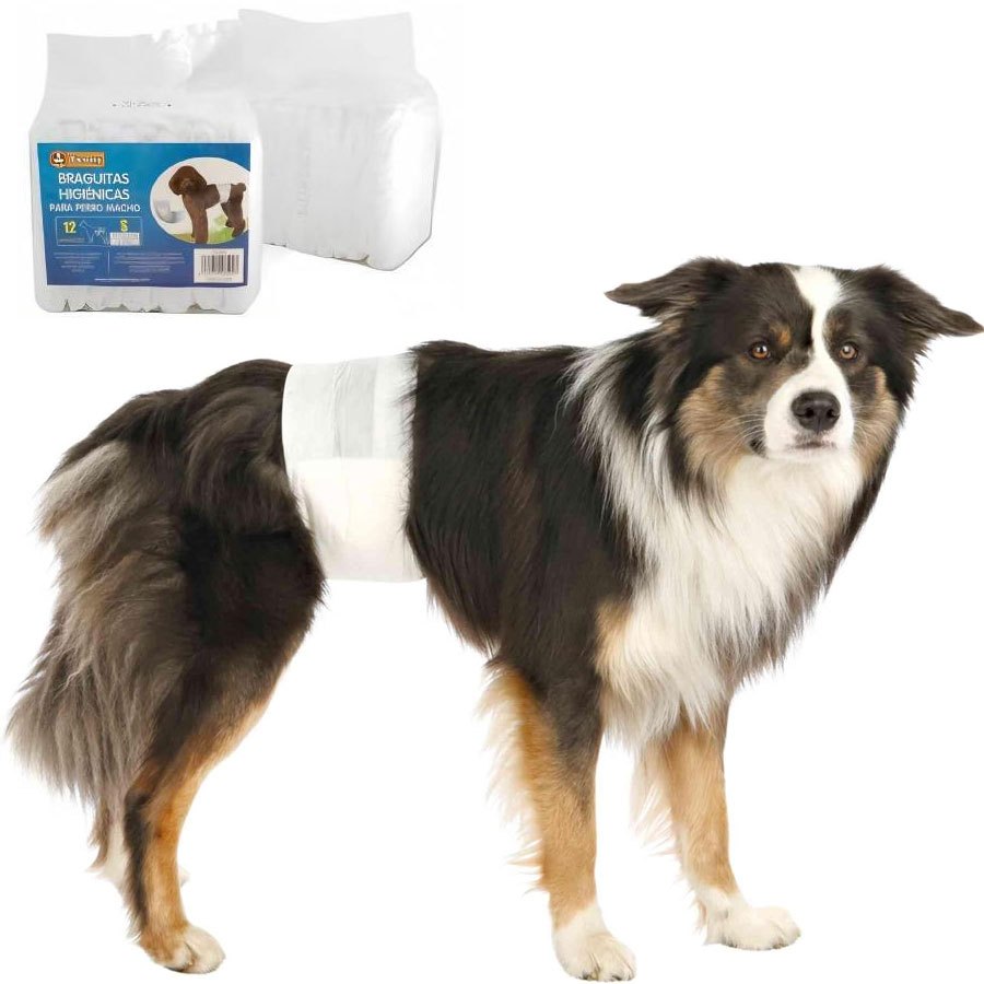 TEMU Pañales para perros , tallas XS/S/M/L – Absorbe eficazmente la incontinencia urinaria y las manchas de orina – Paquete de 36, cómodos, duraderos