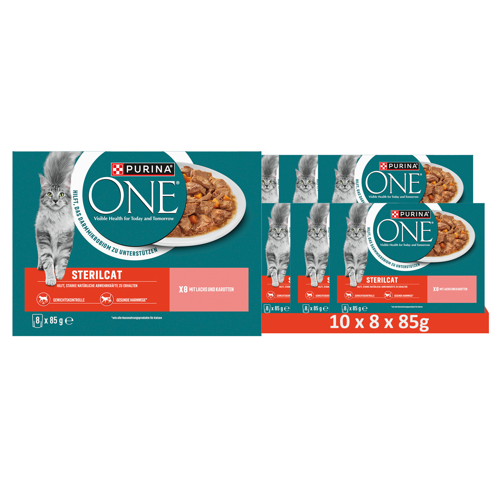 Image of 1 8-pack Of Tender Pieces In Sauce With Salmon And Carrot