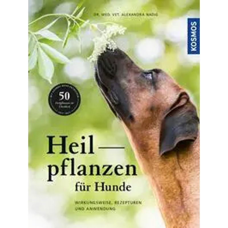 Image of Herbal Remedies For Dogs - Book - Mode Of Action, Recipes, And Application - Alexandra Nadig - 200 Pages - German - 2018 - Franckh Kosmos - Ean 9783440156063