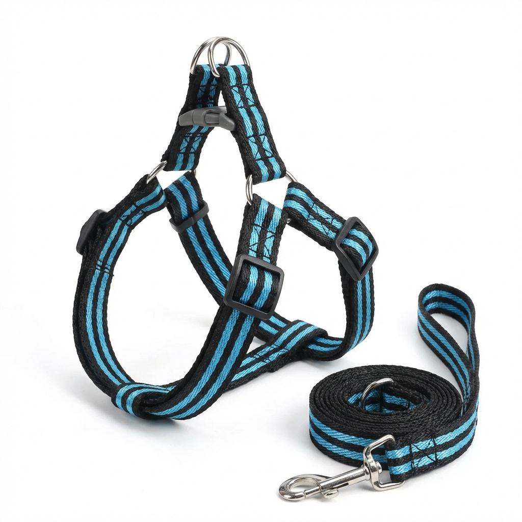 Harness And Leash For Dogs, Adjustable For Safe