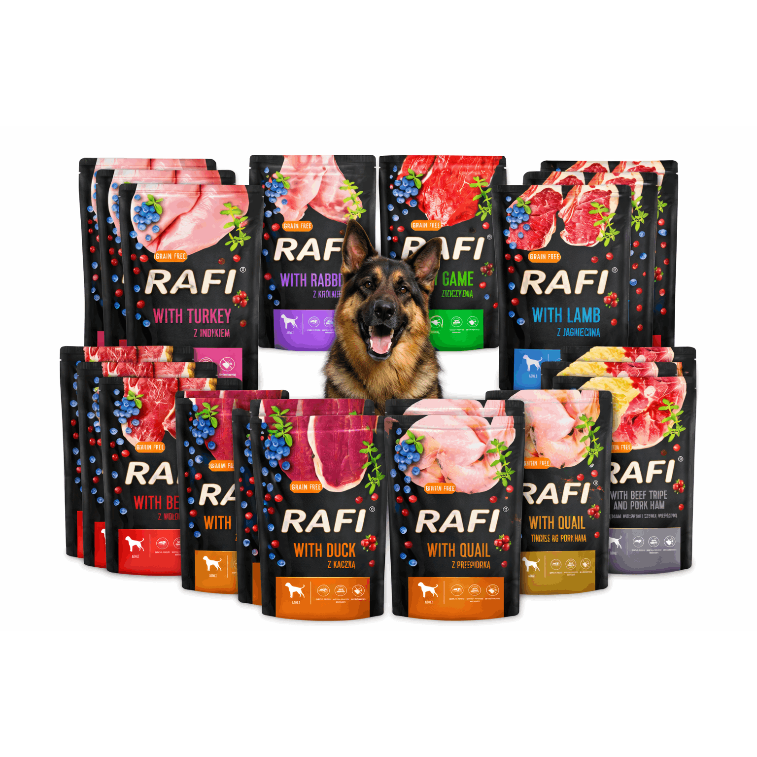 Image of Food Noteci Rafi Adult Grain-free Mixed Flavors Pouch 24 X 500g